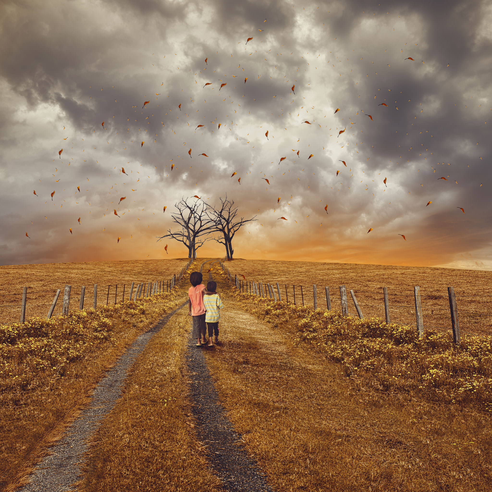 THE JOURNEY